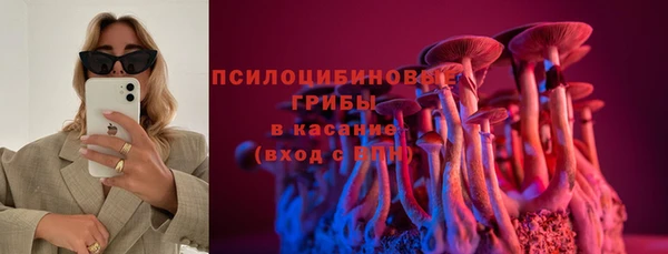 ешки Балахна