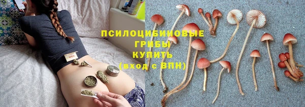 ешки Балахна